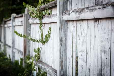 Peeling Paint - No Dry Rot Noted